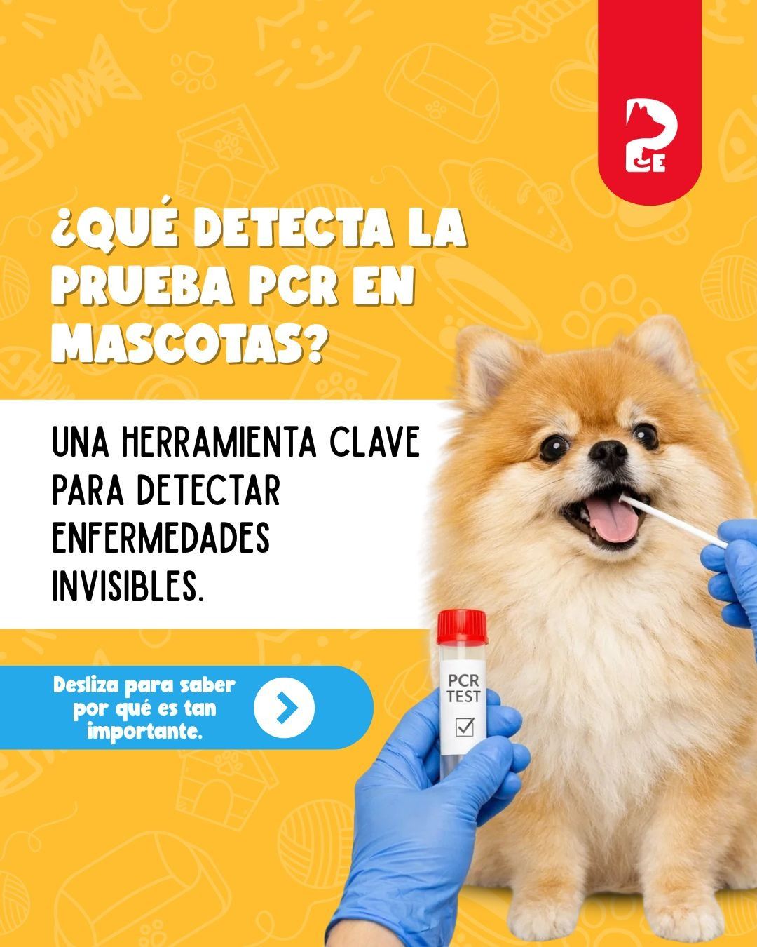 Petexperts - ¿Sabías que tu mascota puede tener una... | Facebook