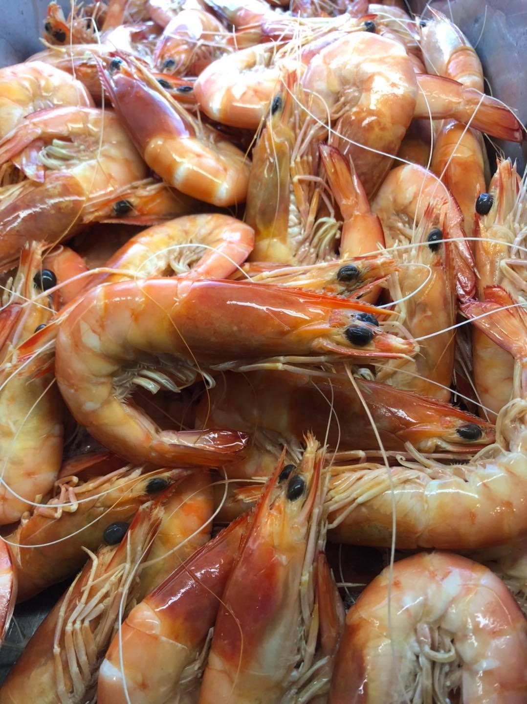 Our window is full of Fresh Ocean... - Fish Depot Pimpama | Facebook