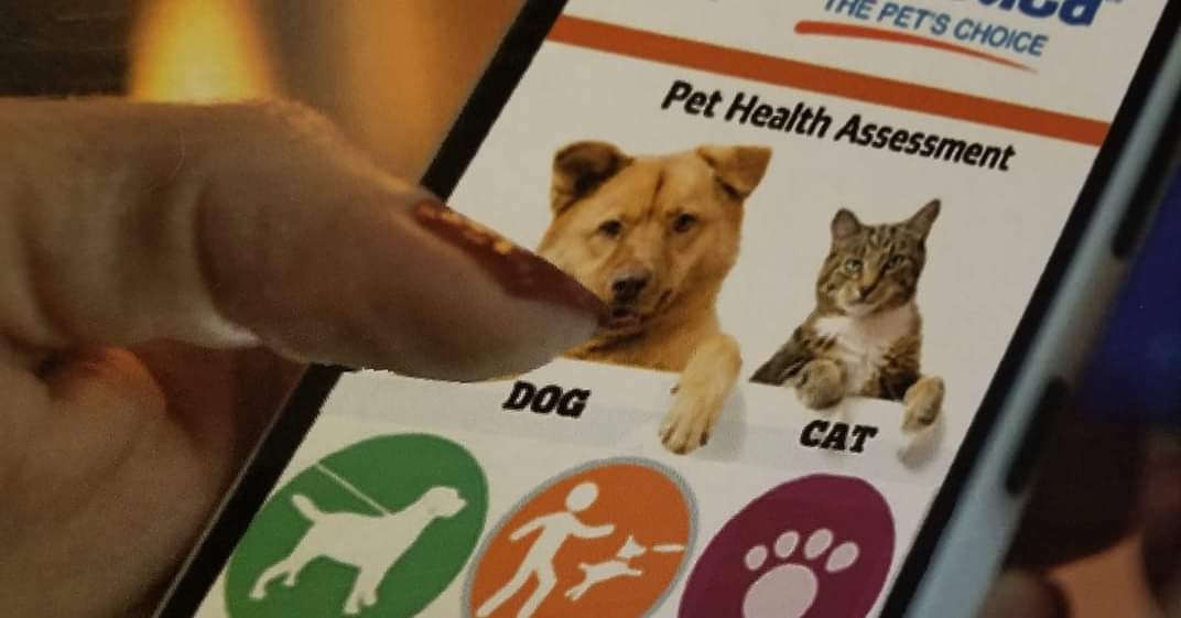 Dynamic Pet Choices