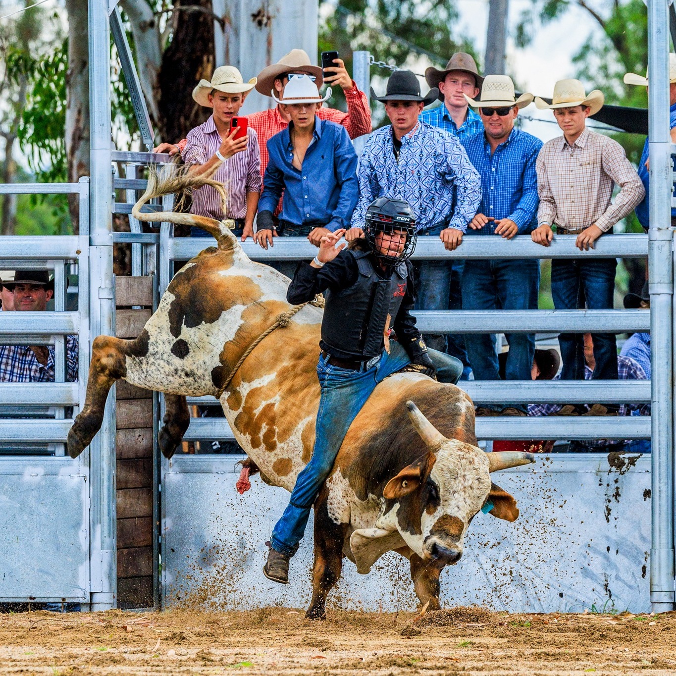 Warwick Rodeo | Warwick QLD