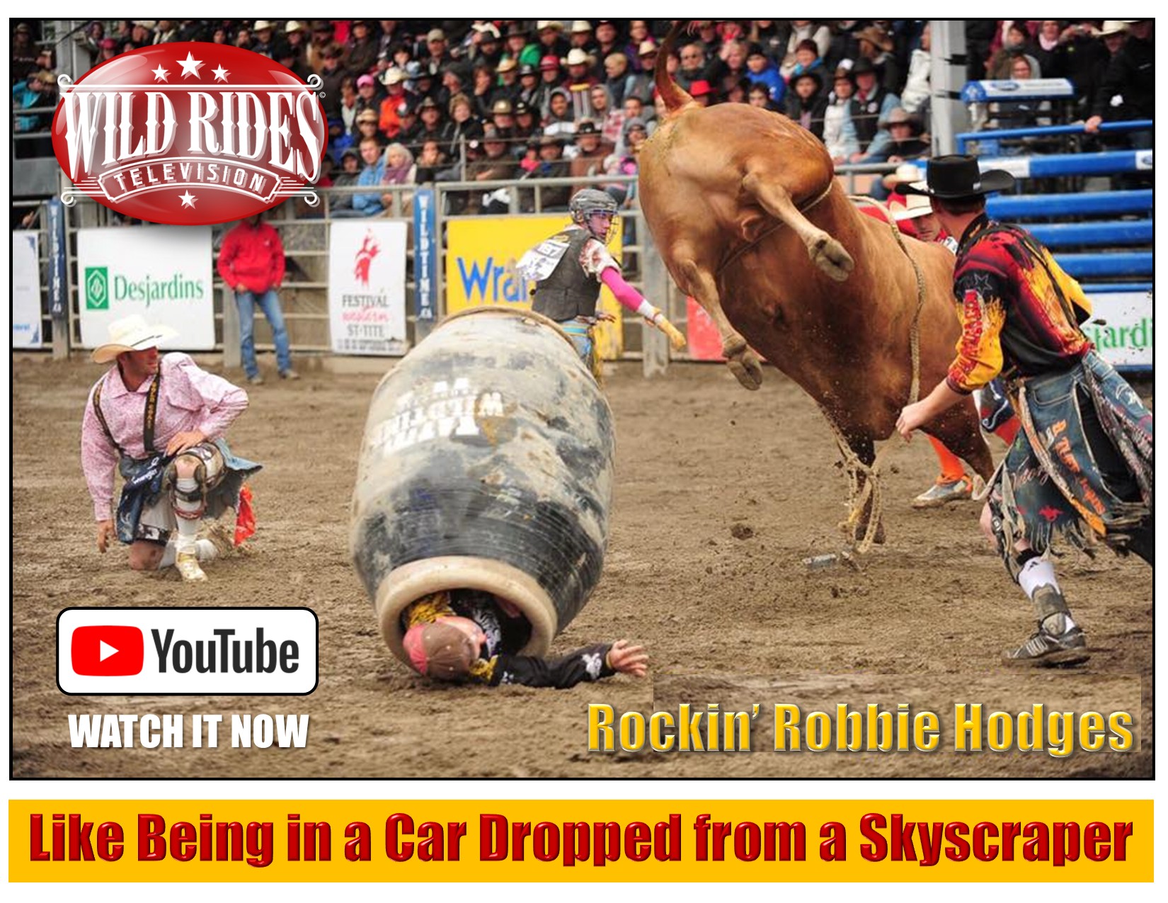 Wild - THE LIFE OF A RODEO CLOWN: Have you been in a barrel when it's ...