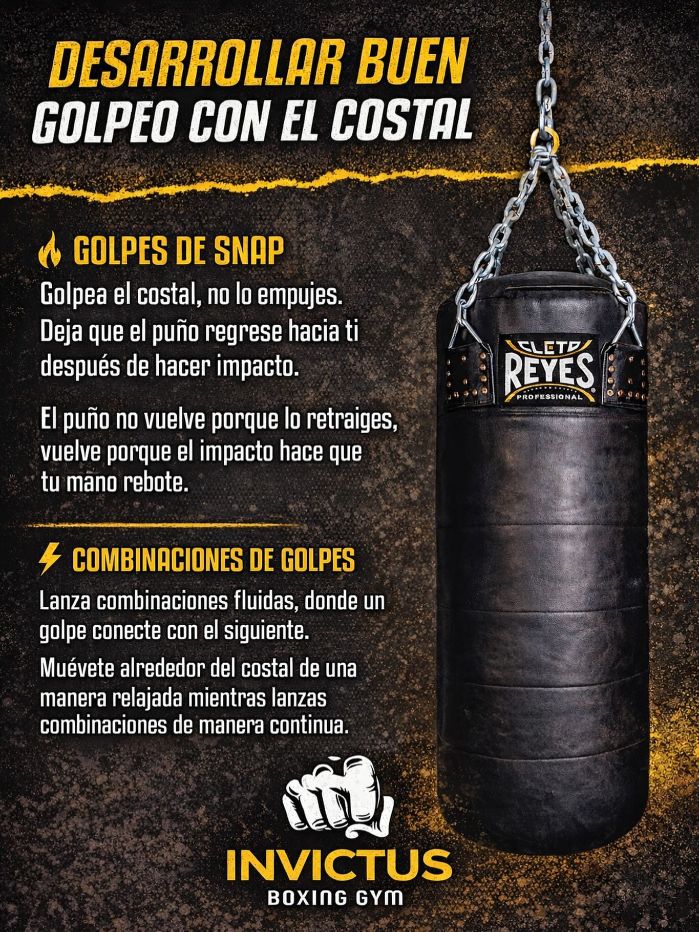 Invictus Boxing Qro