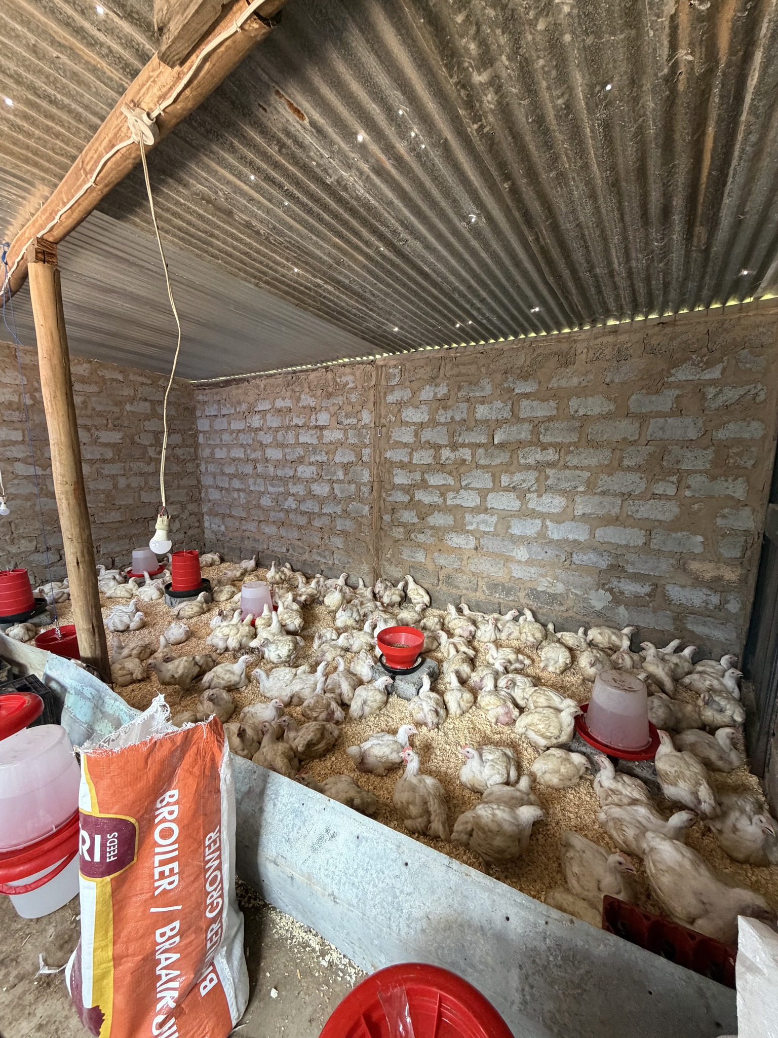Rowmet Farming | Pankop