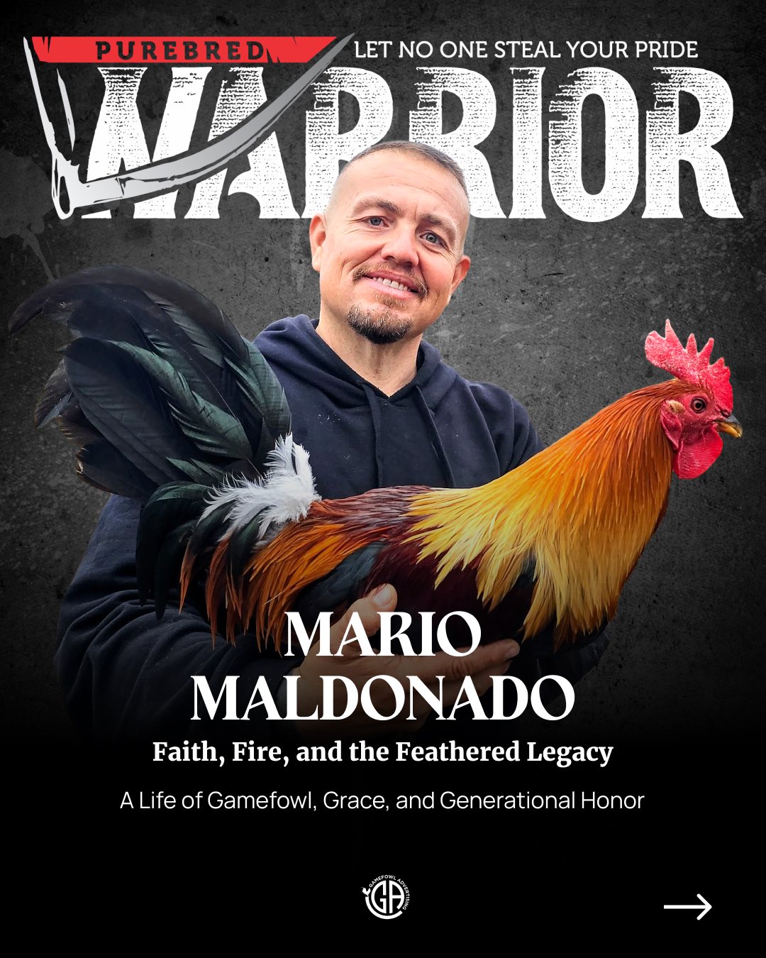 🔥 NEW ISSUE DROPPING TODAY! 🔥... - Purebred Warrior Magazine | Facebook