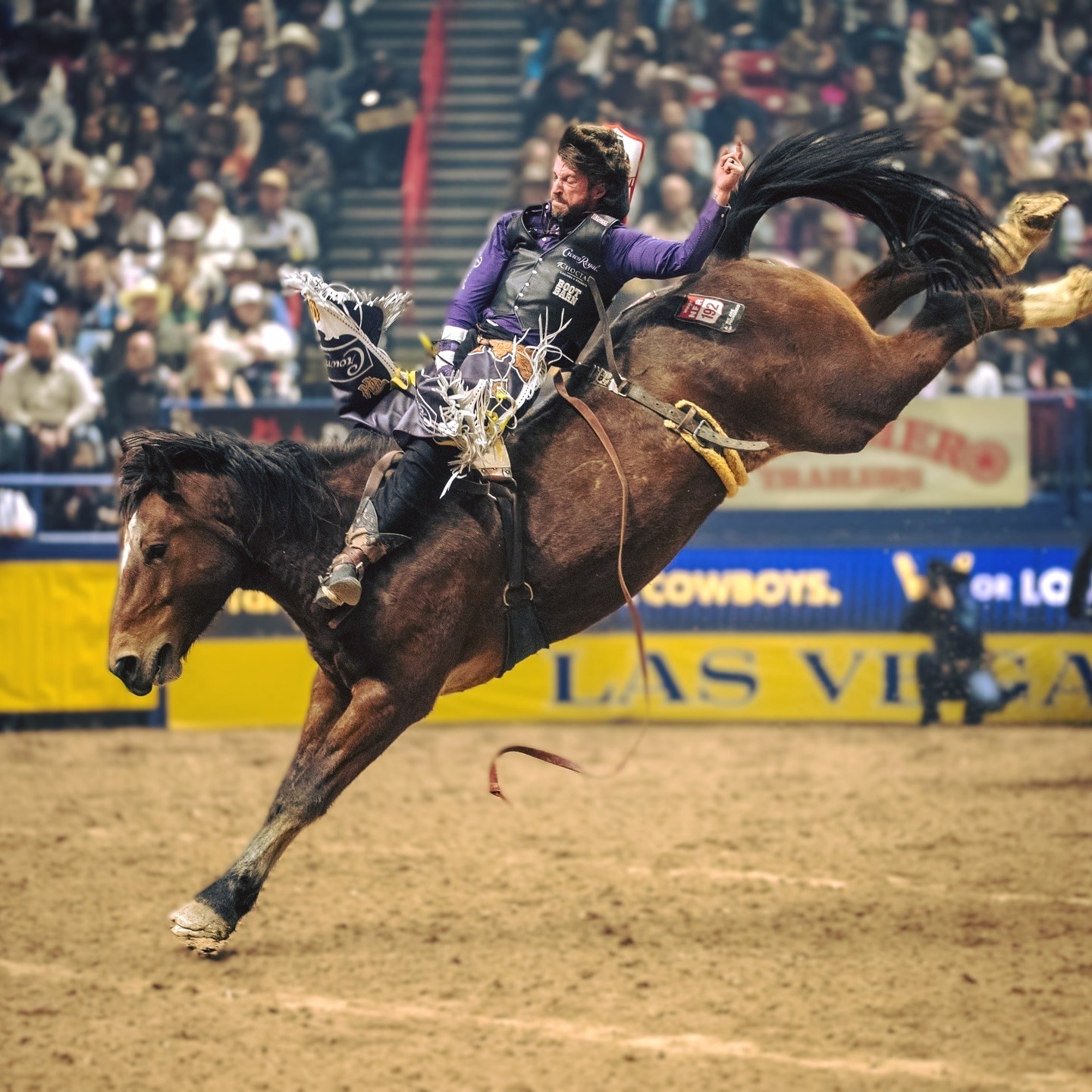 PBR - 🔥🏆 92 POINTS OF PURE POWER! 🏆🔥 With a jaw-dropping 92-point ride ...