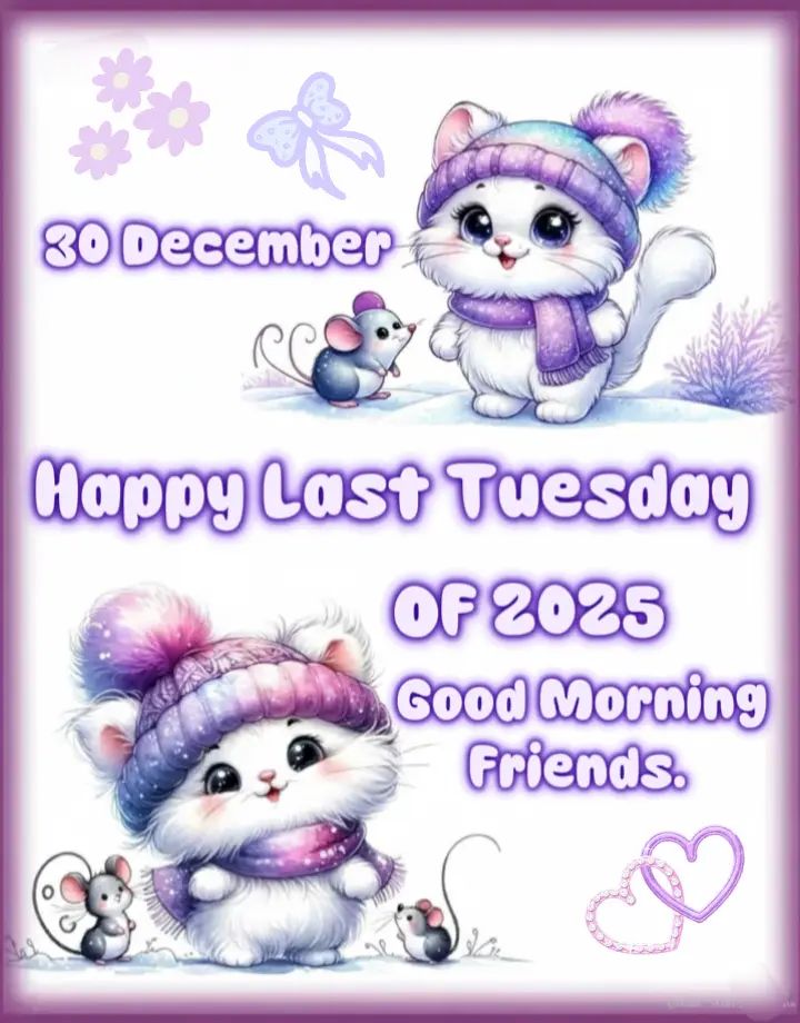 Purple - Happy Tuesday 💜💫 | Facebook
