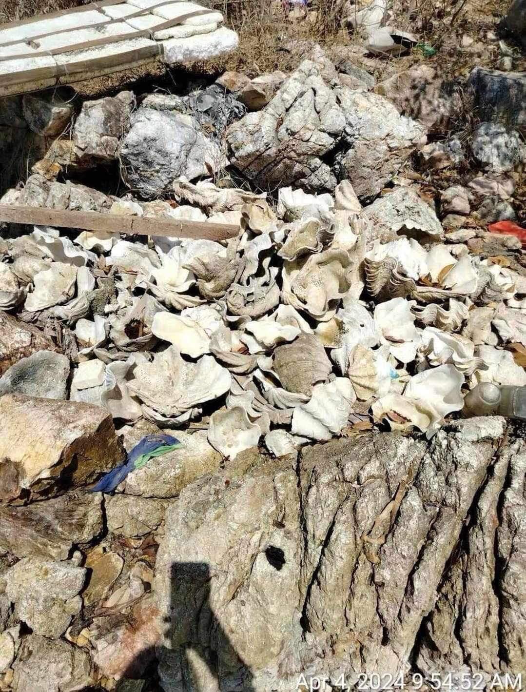 Repetek, Ang Diyaryo ng Pilipino - PROVINCIAL NEWS | 300 PIRASO NG ...