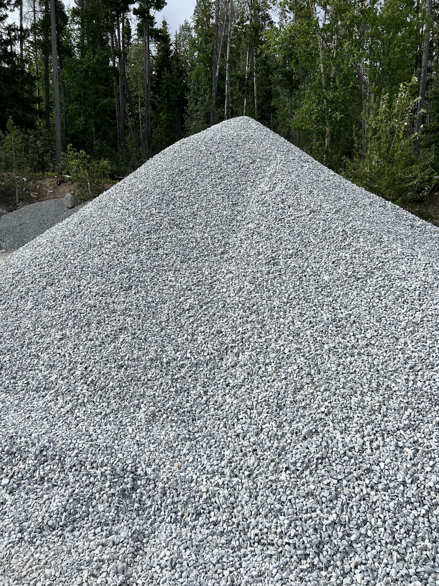 Dahl Lake Limestone | Prince George BC