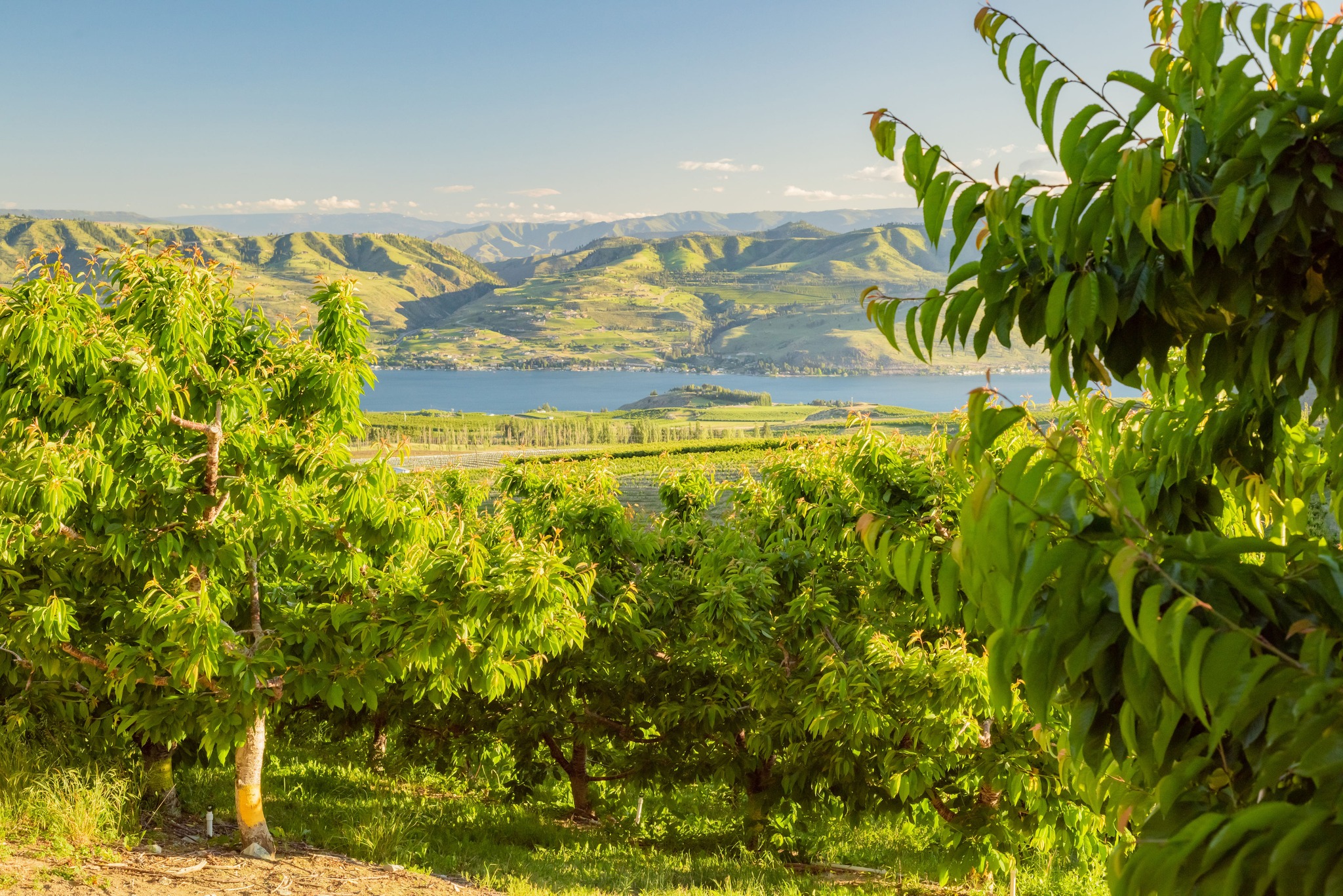 The VIP Insurance Agencies | Chelan WA