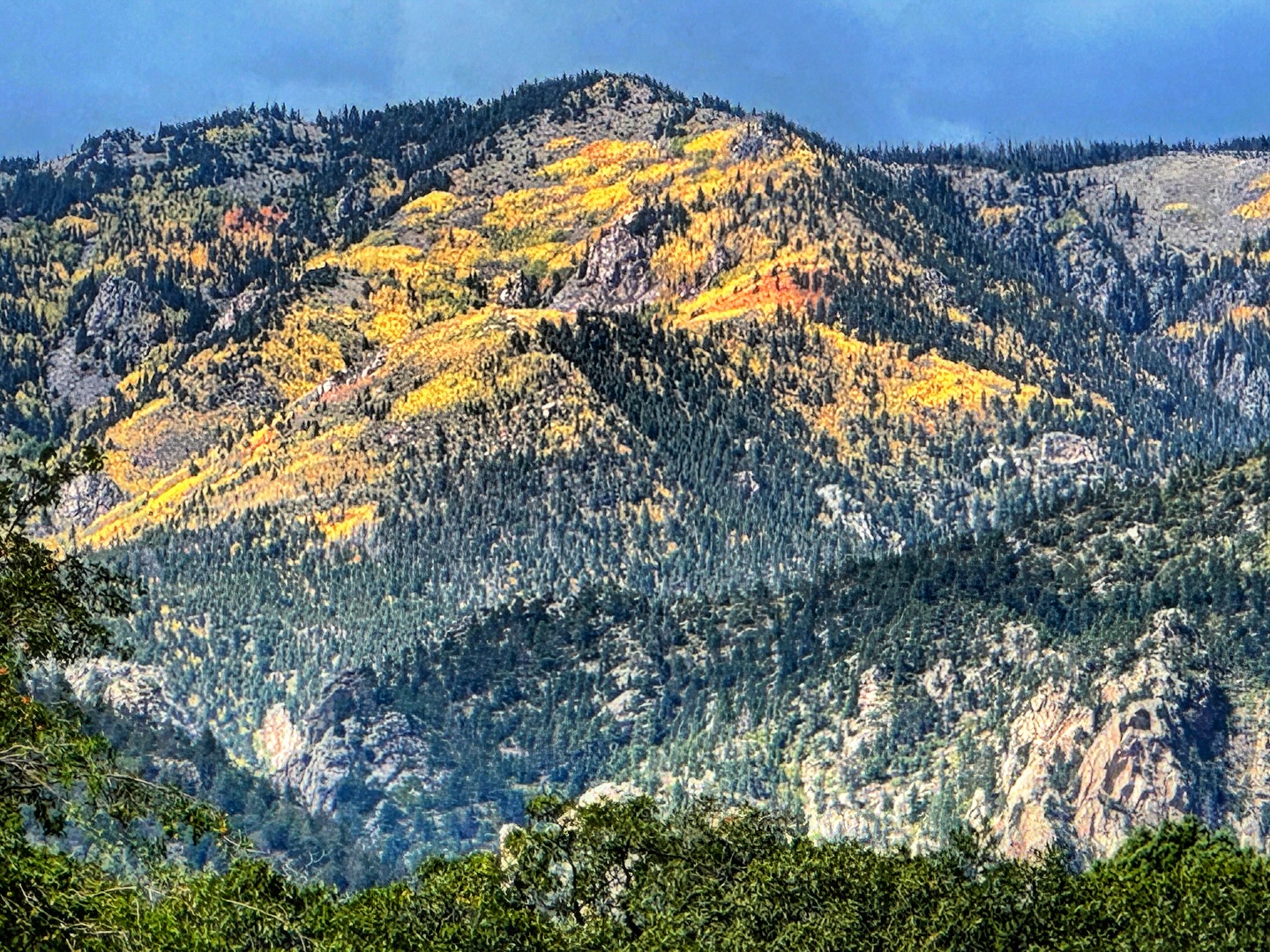 Hummingbird Ranch | Rye CO