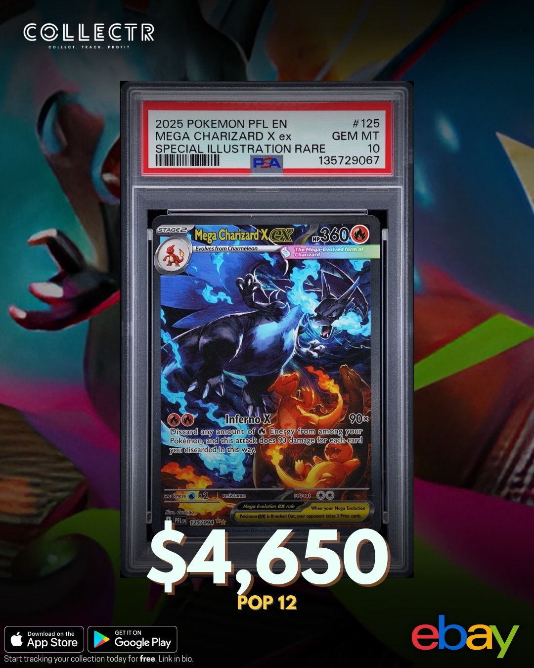 psa10 mur金噴火龍X