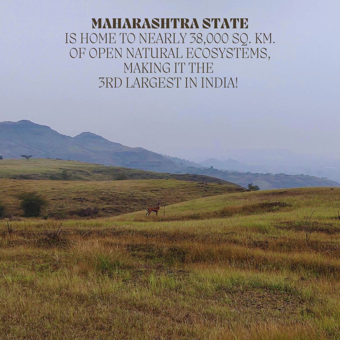 ATREE & The Grasslands Trust kicked off a project in Kendur & Supe ...