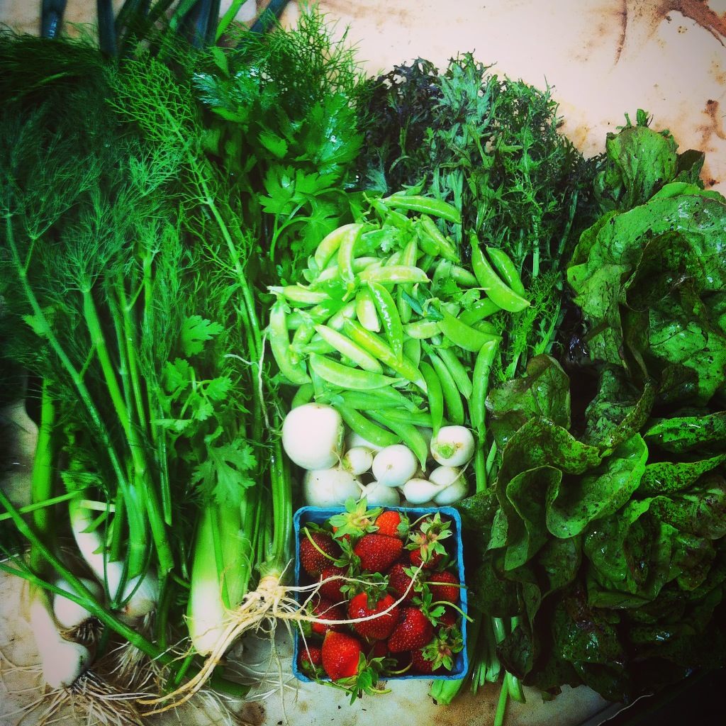 Ralston Farm