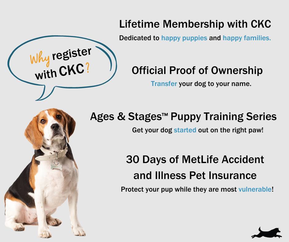 Save up to 25% on your CKC... - Continental Kennel Club, Inc. | Facebook