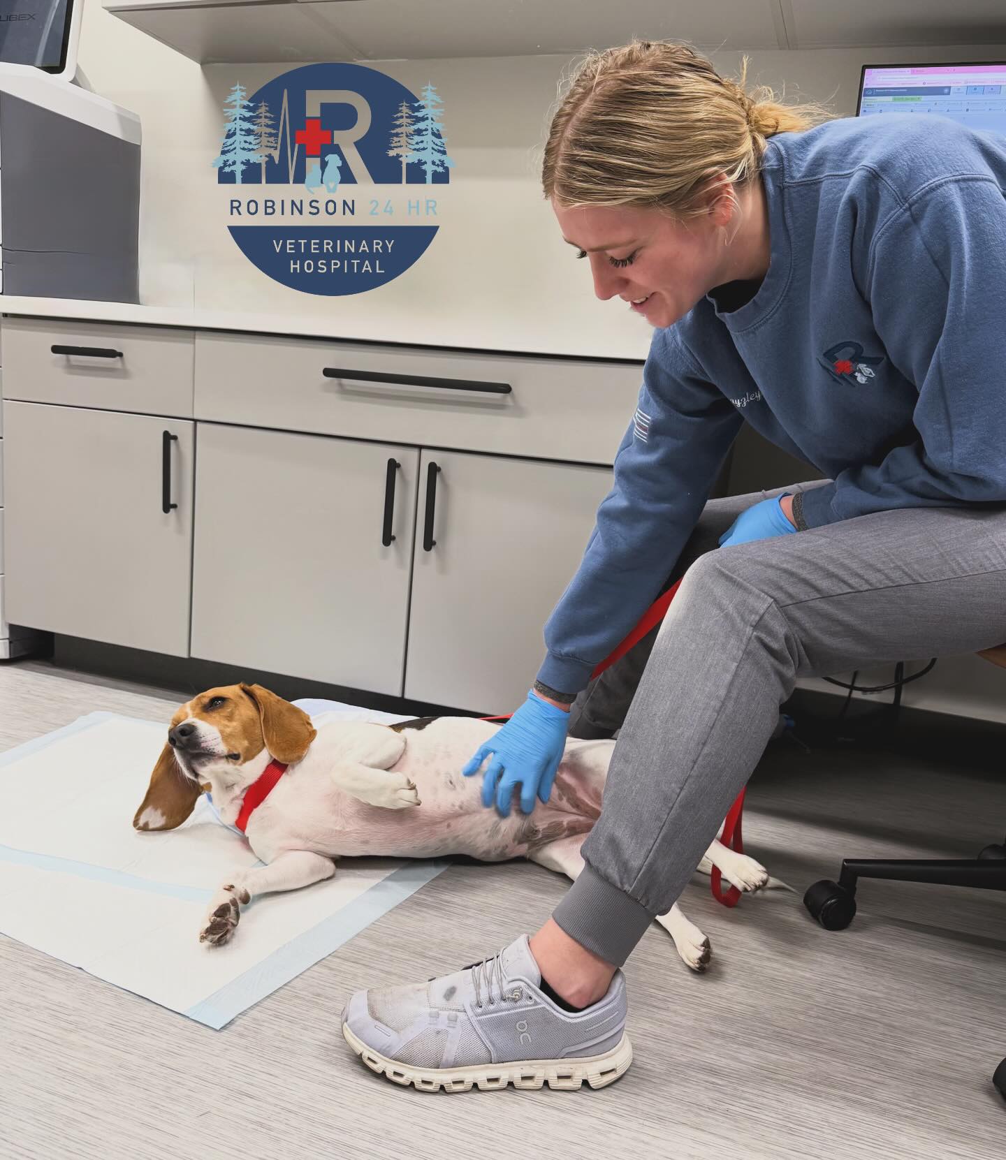 robinson-24-hour-veterinary-hospital-fernandina-beach-fl