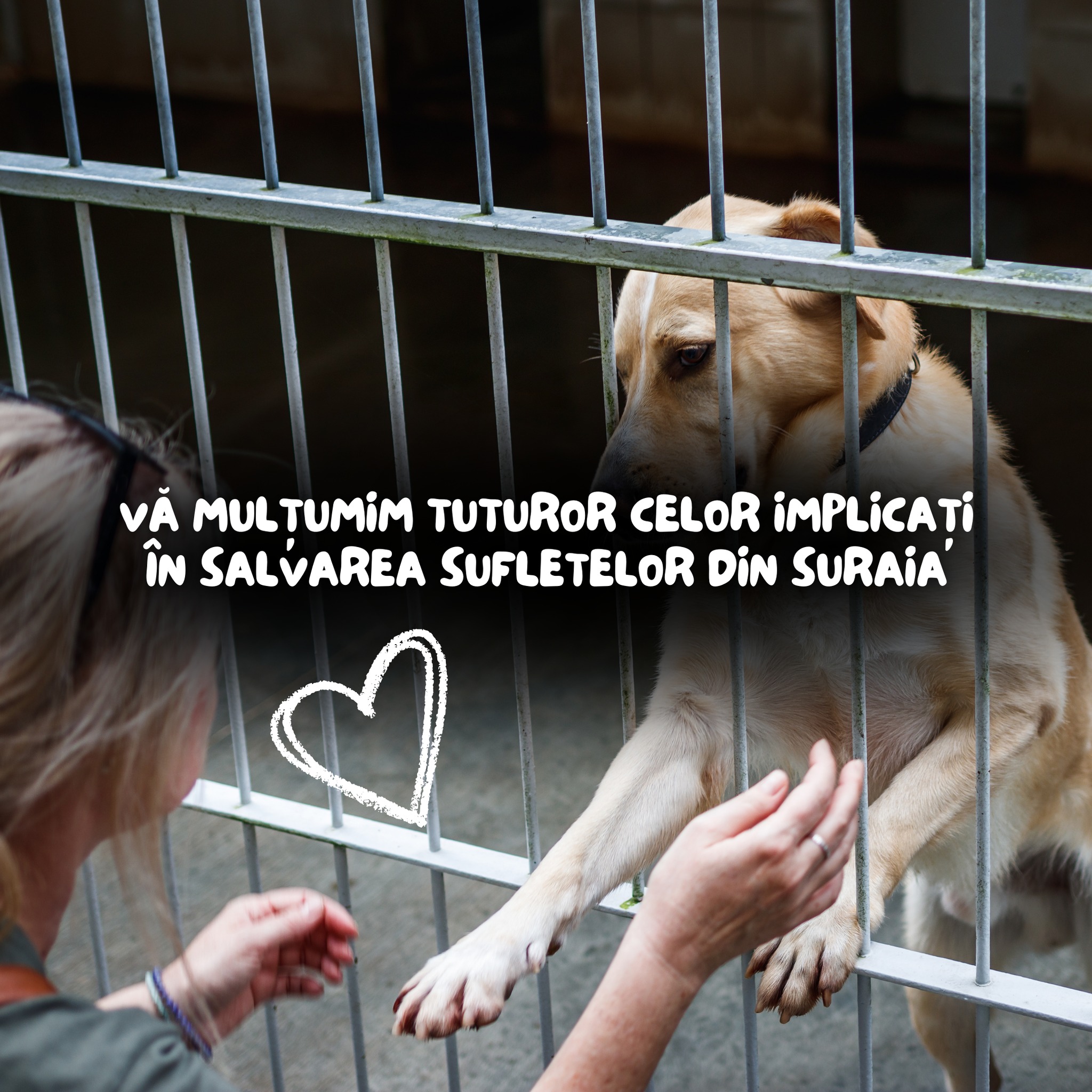 Cabinet - 🐾 Mulțumim din inimă tuturor celor care s-au implicat în ...