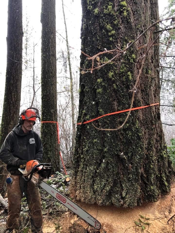 The TimberTech | Thorp WA
