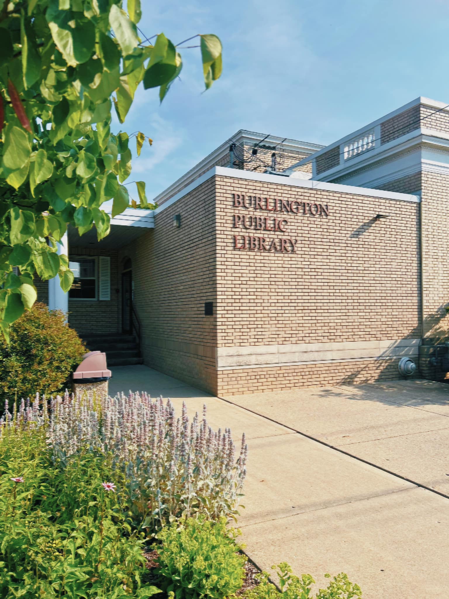 ☀️ Summertime is in full... - Burlington Public Library