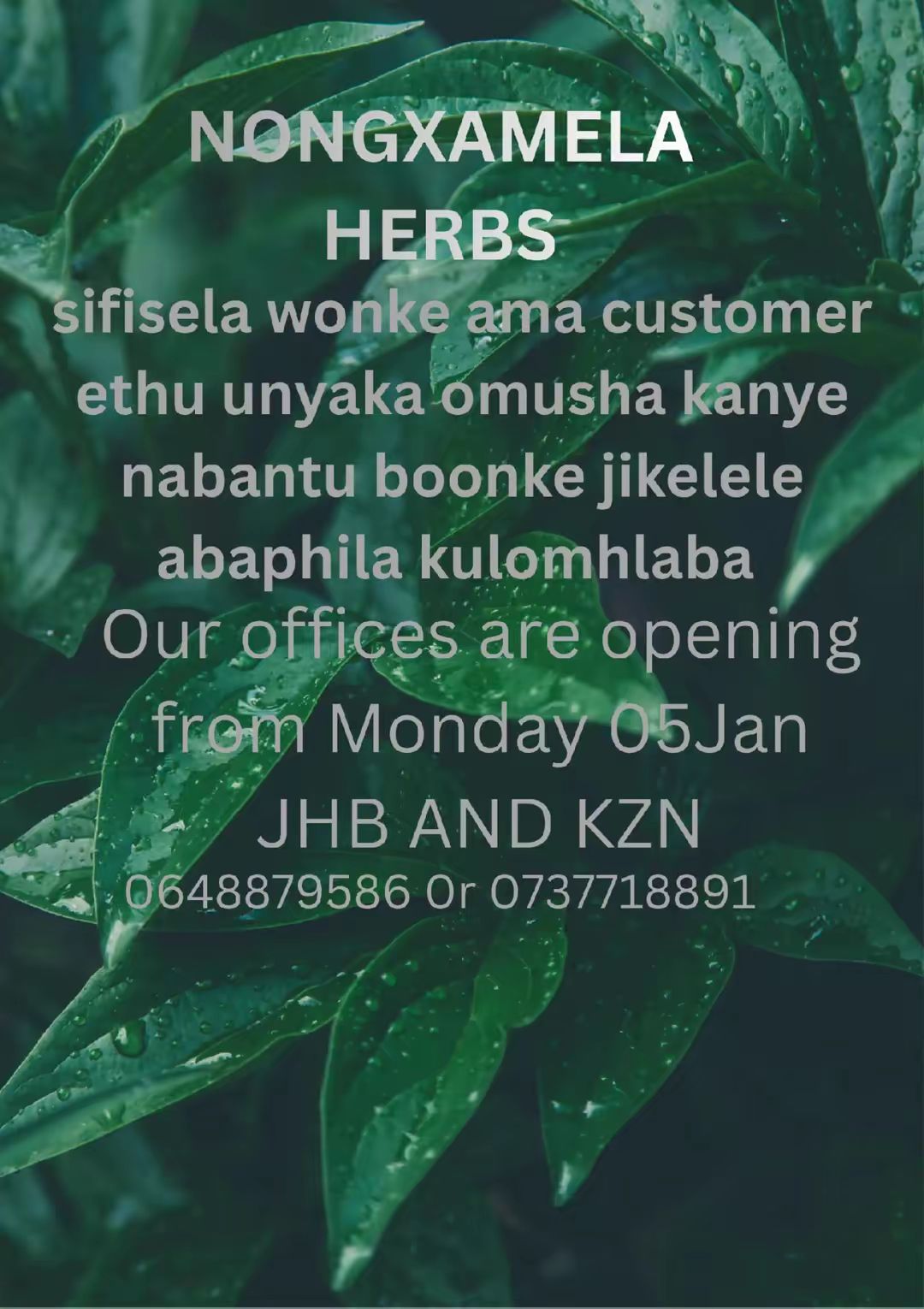 Nongxamela - Unyaka awuvulwa ngo cansi, uvulwa ngokuzihamba ukhulume ...
