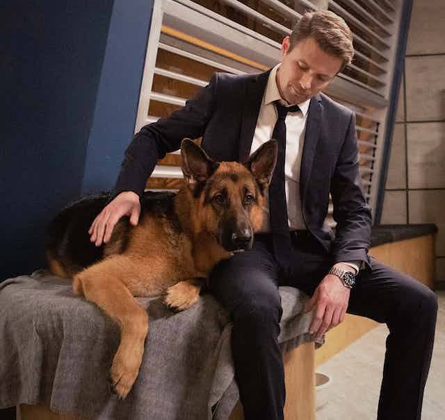 John Reardon Hudson And Rex | Facebook