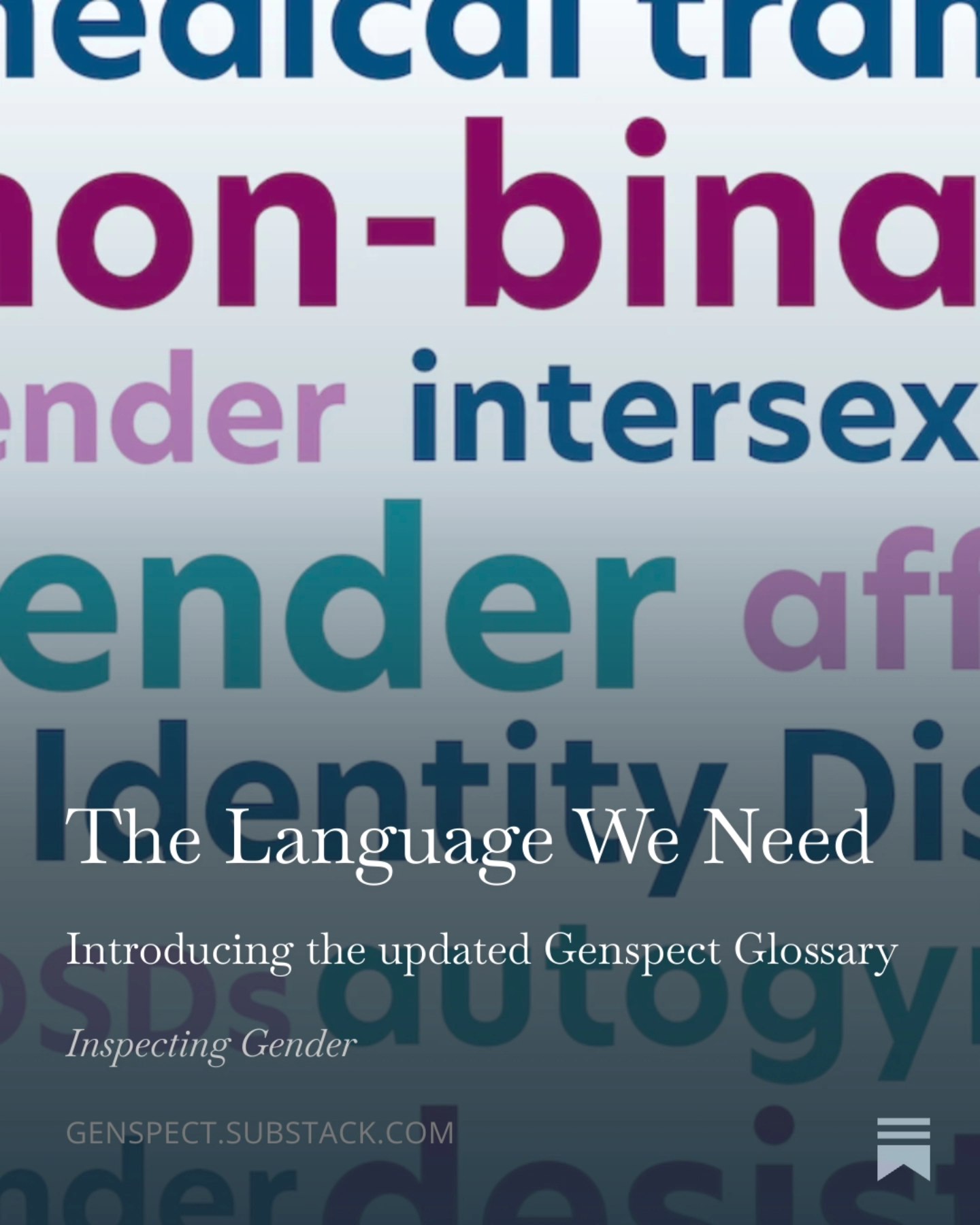 Language and Gender book by Penelope Eckert and Sally McConnell-Ginet