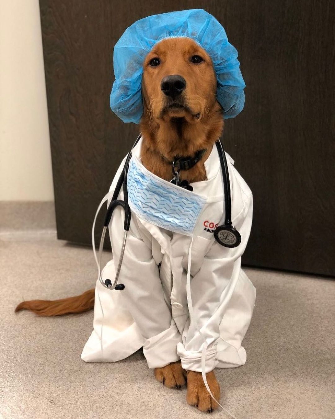 This is Ned. He'll be conducting your check-pup today. Please don't giggle when you see him. He's $232,000 in debt from medical school and would appreciate some respect. 13/10