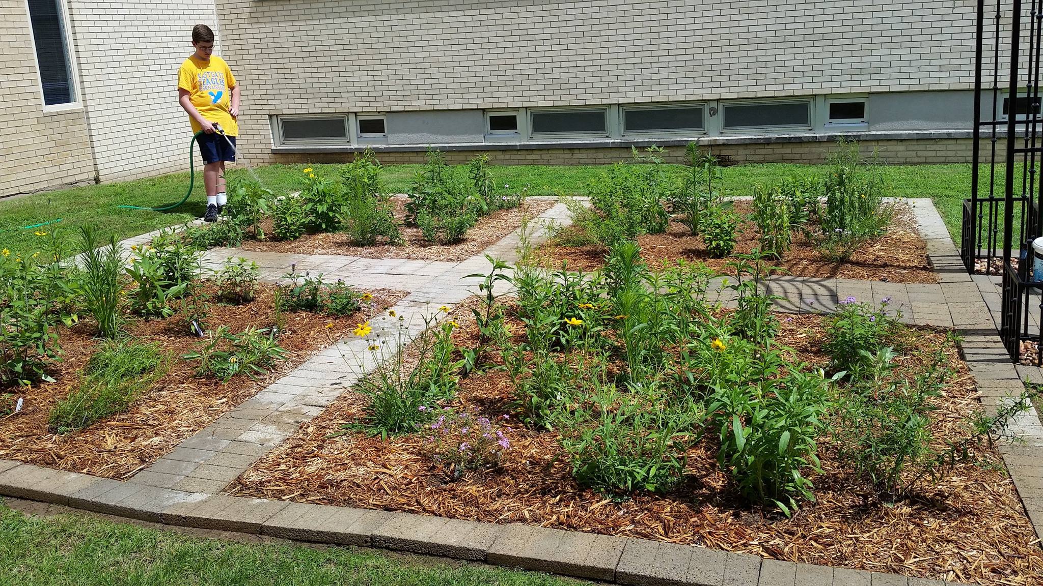 Deep Roots KC - This fabulous Eagle Scout project by Grant... | Facebook
