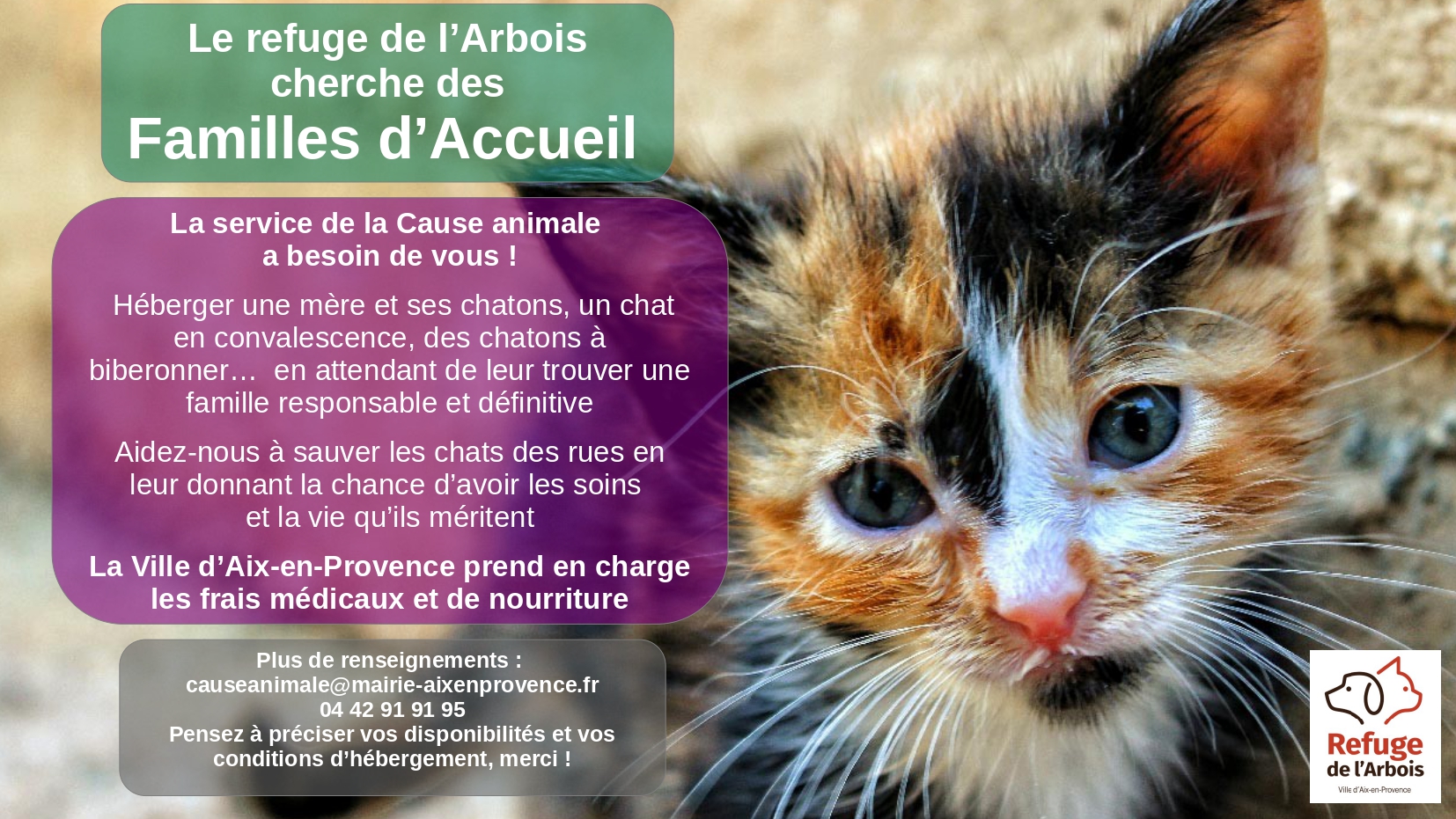 Sitemapcdatahttpsgetcellcare1comrefuge De L Arbois