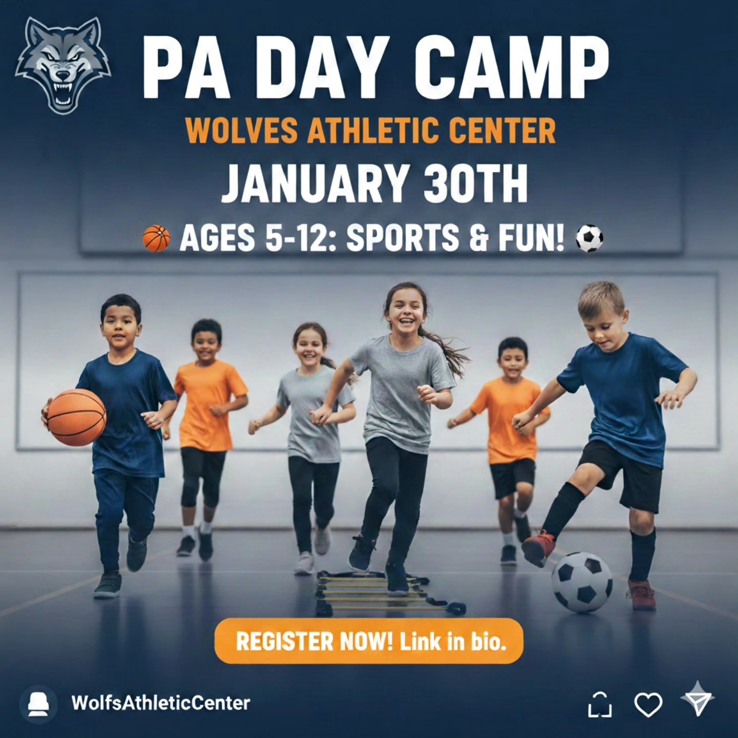 Wolves Athletic Centre