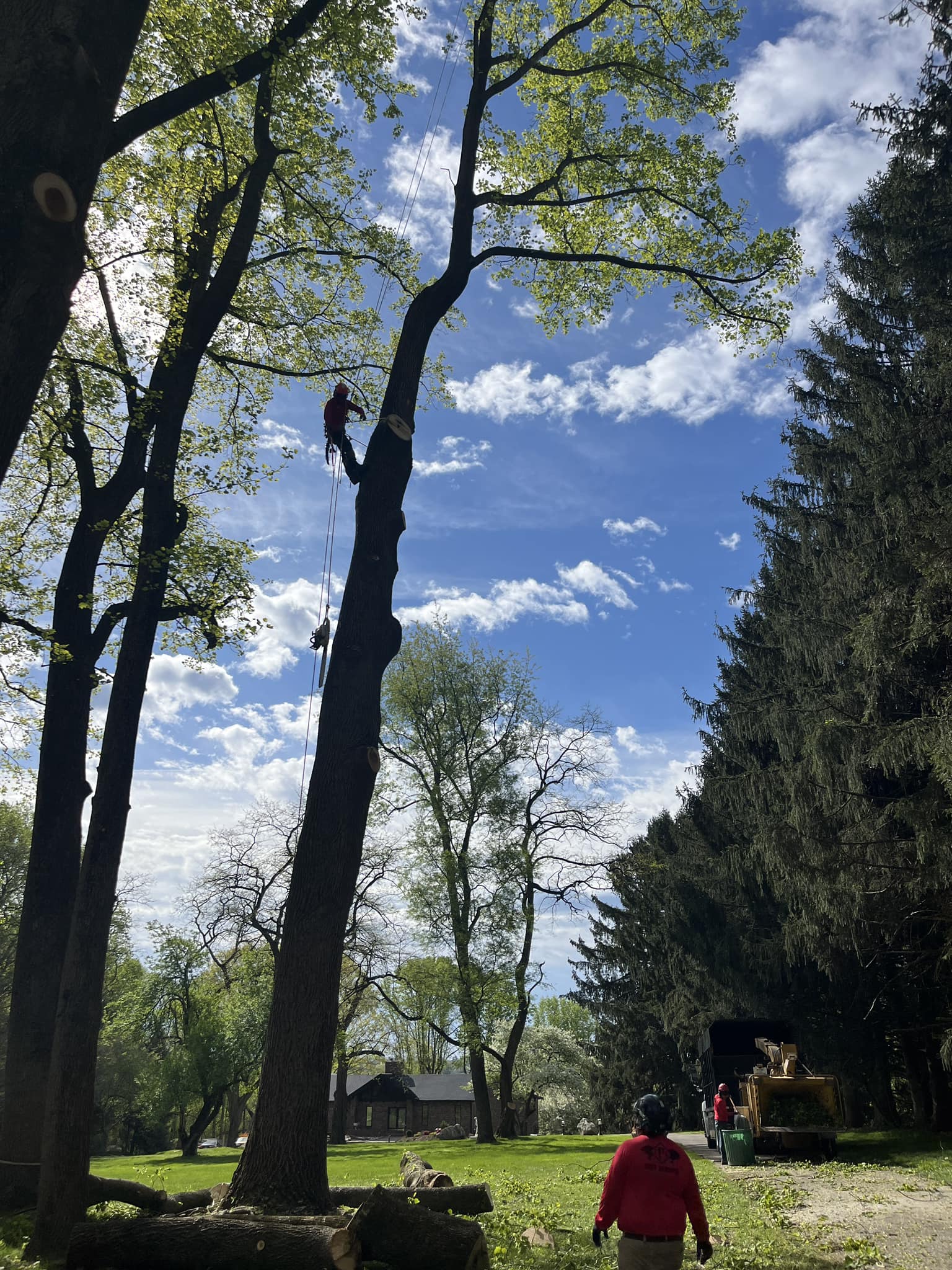 CPL Tree