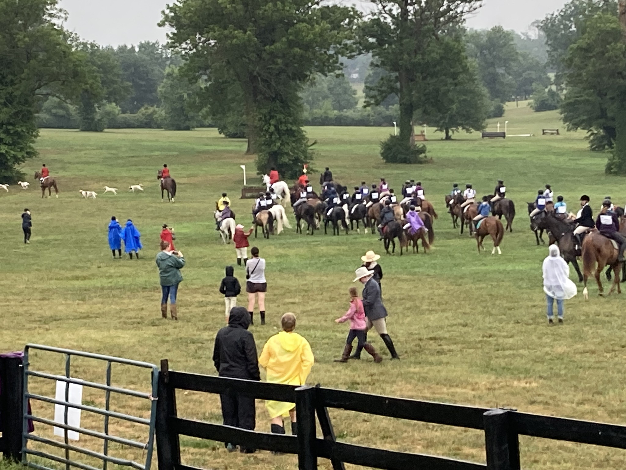 Mock Fox Hunt at 2024 USPC... - Blossom Trail Pony Club | Facebook