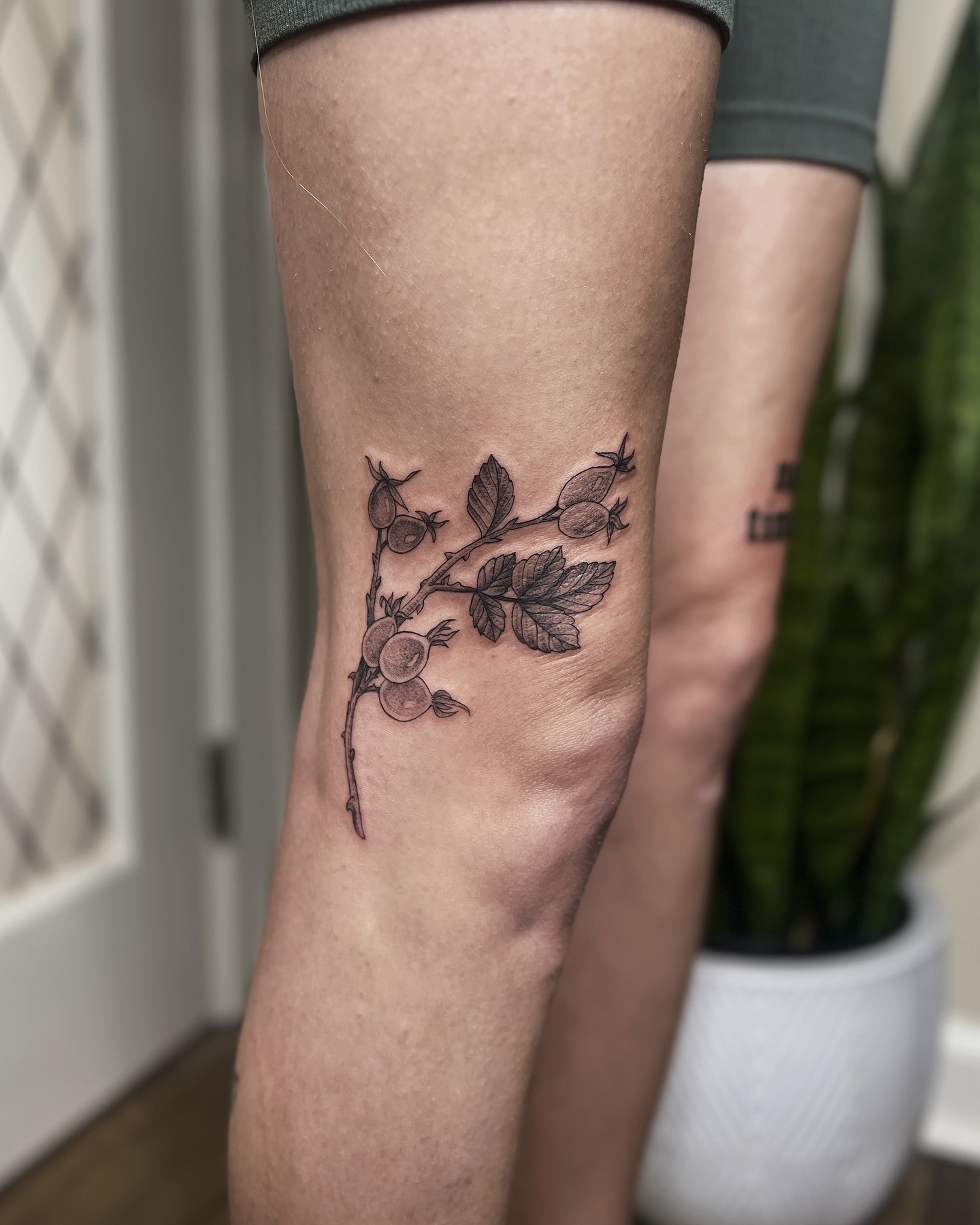 TATOO FLASHPRINT MODERNDENIM DOUBLE KNEE