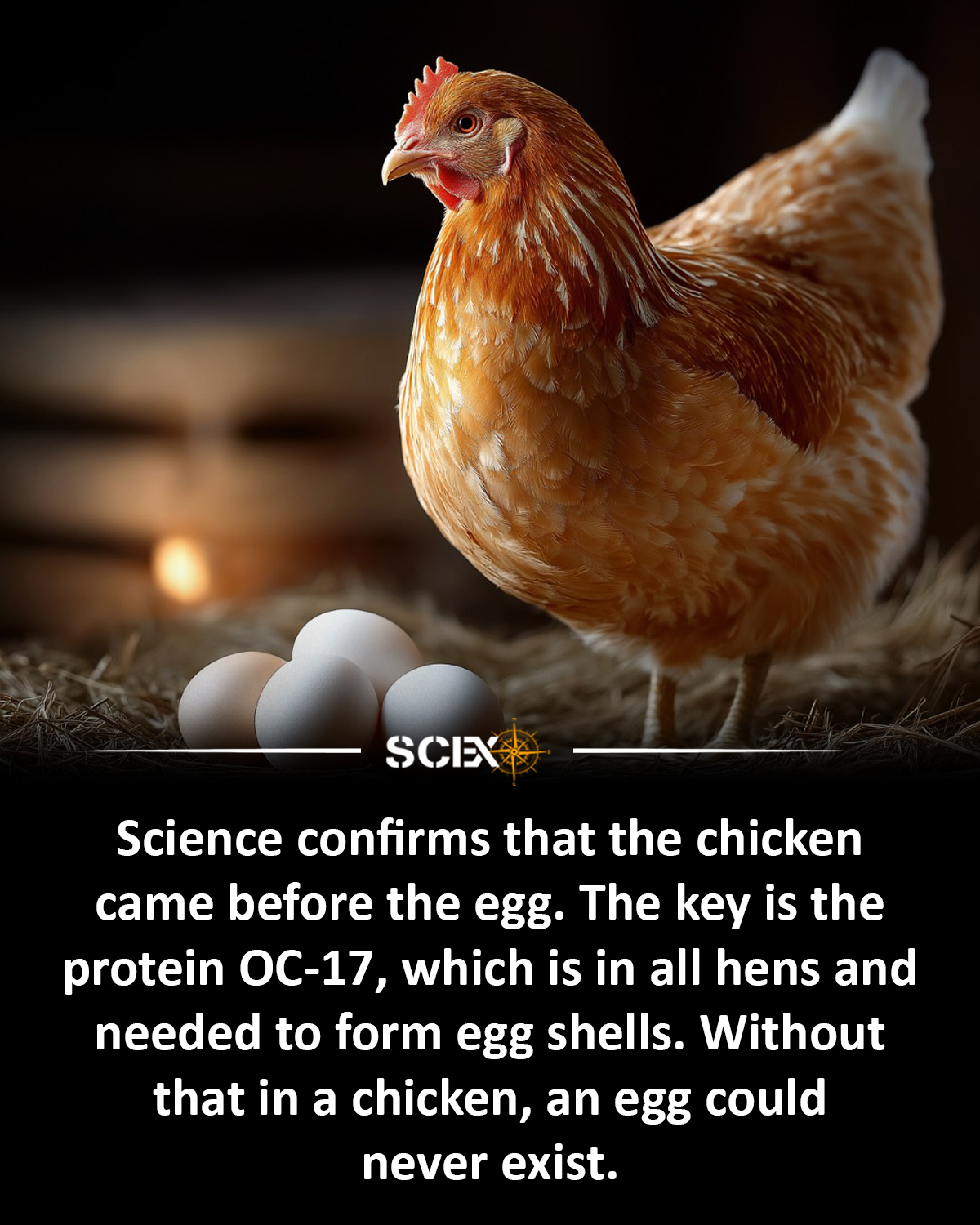 Science - 🐔 Science has finally cracked it: The chicken did come before ...