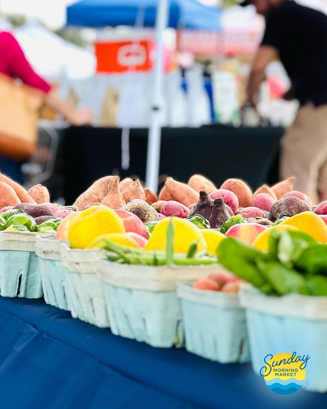 Sunday Market at Westshore Marina District