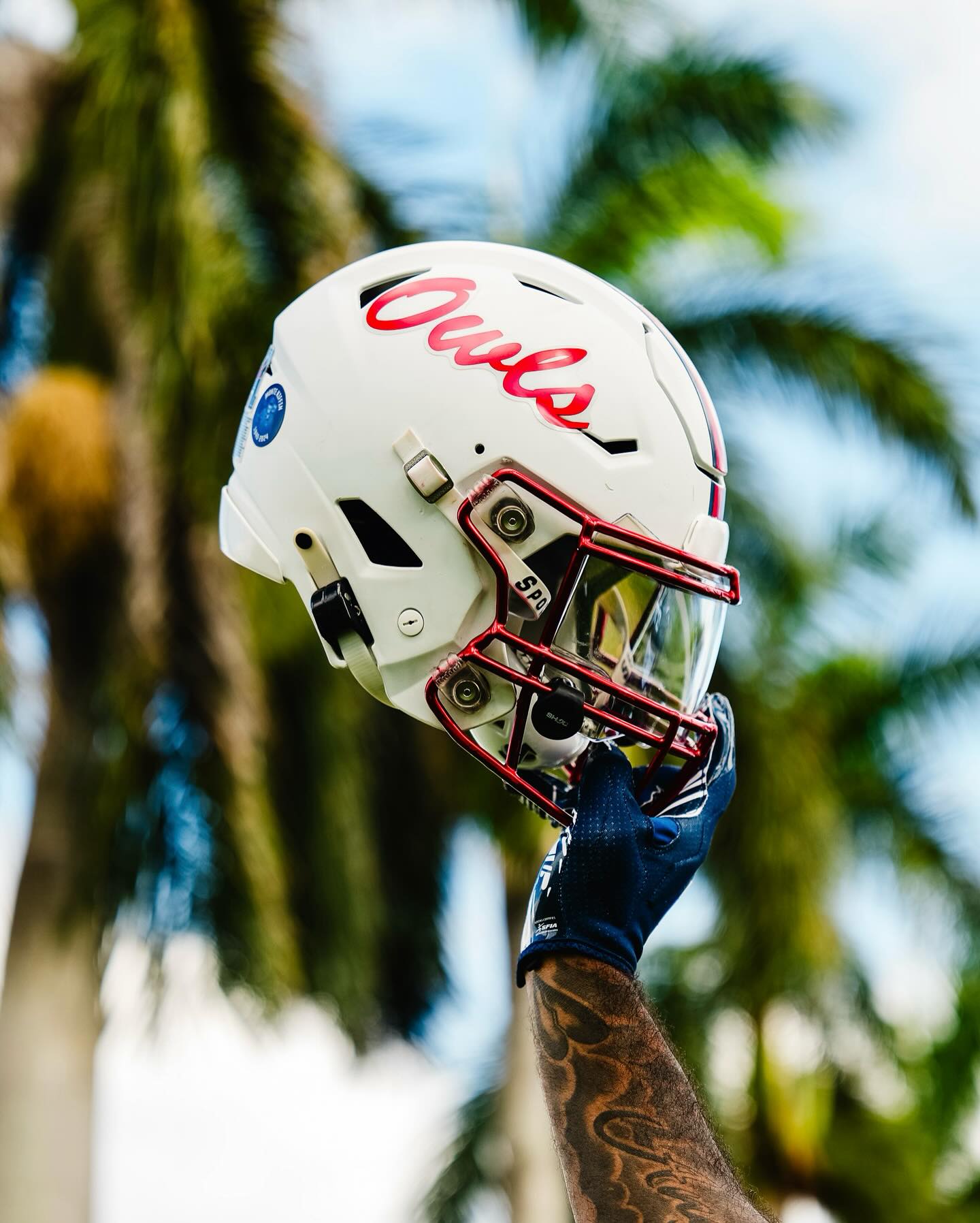 fau football helmet Florida Atlantic Owls Speed Mini The script