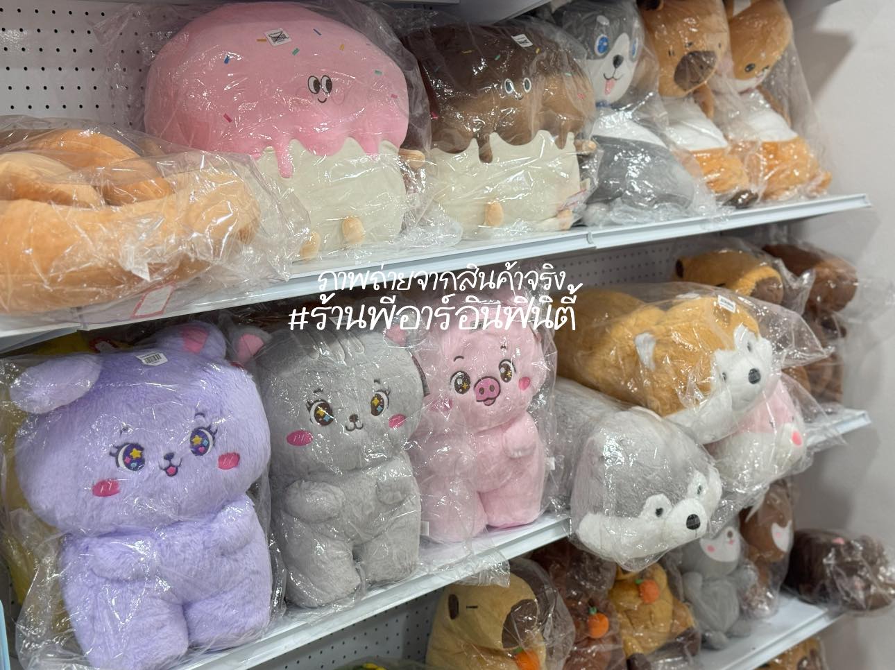 PR Infinity - อุปกรณ์การเรียน อุปกรณ์ศิลปะ วัสดุสำนักงาน สินค้า ...