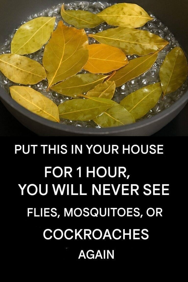 Curated visual reference: My Say Goodbye To Flies Mosquitoes And Cockroaches Boiling These Photo Inspiration