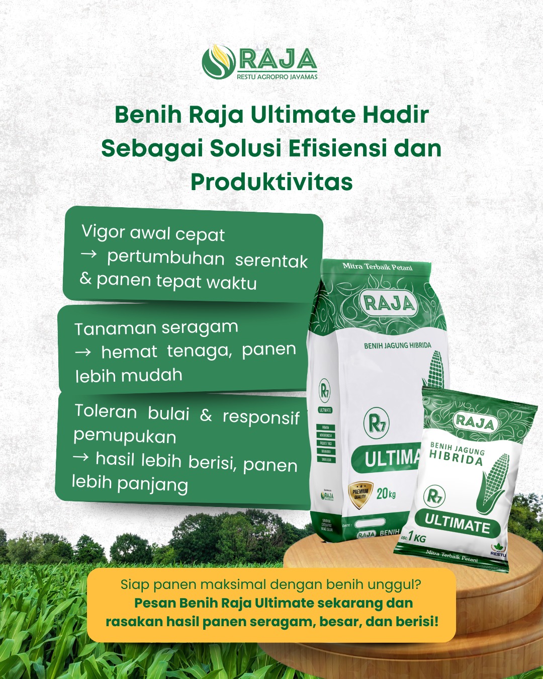 Benih Raja R7