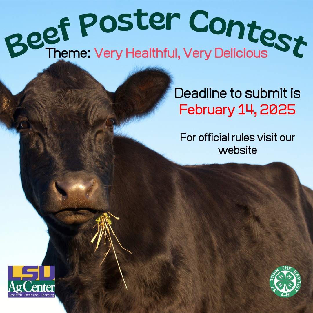 St. - The 2025 Beef Poster Contest theme is 