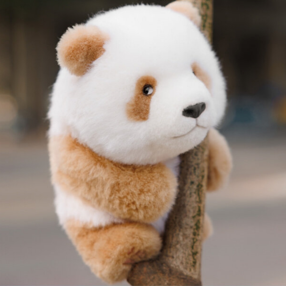 Panda Factory | Chengdu