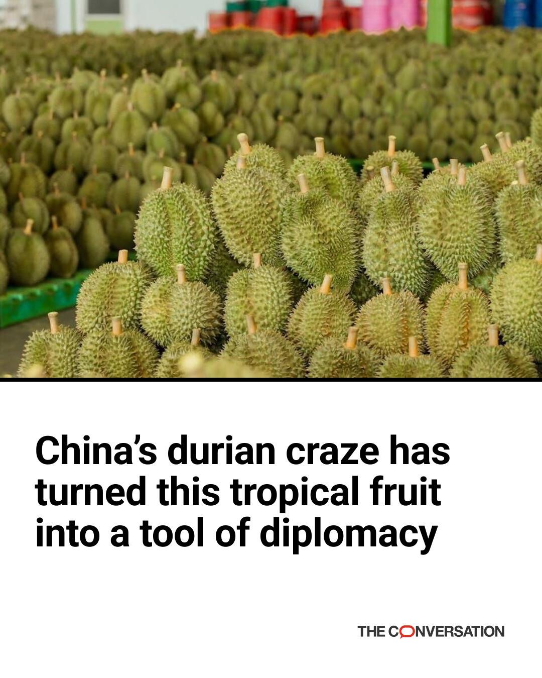 The Conversation - China’s growing appetite for durian is giving this ...