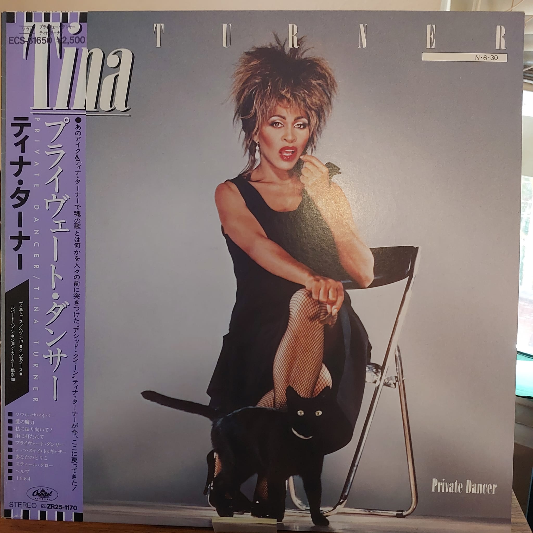 Which Private Dancer album cover do you own? Share your vinyl, cds