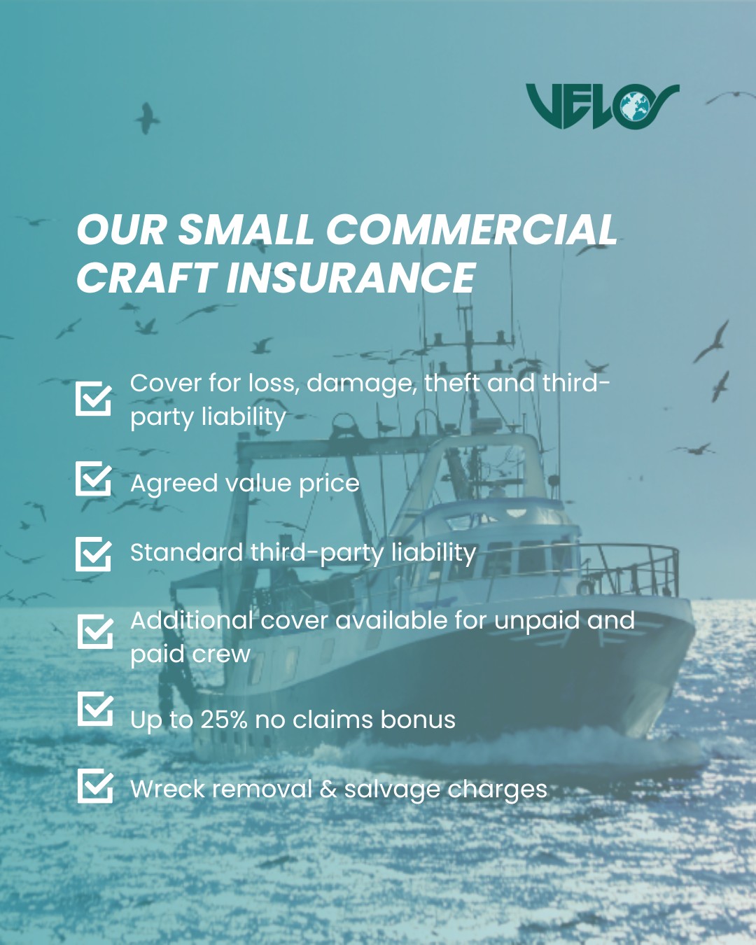 Velos Insurance