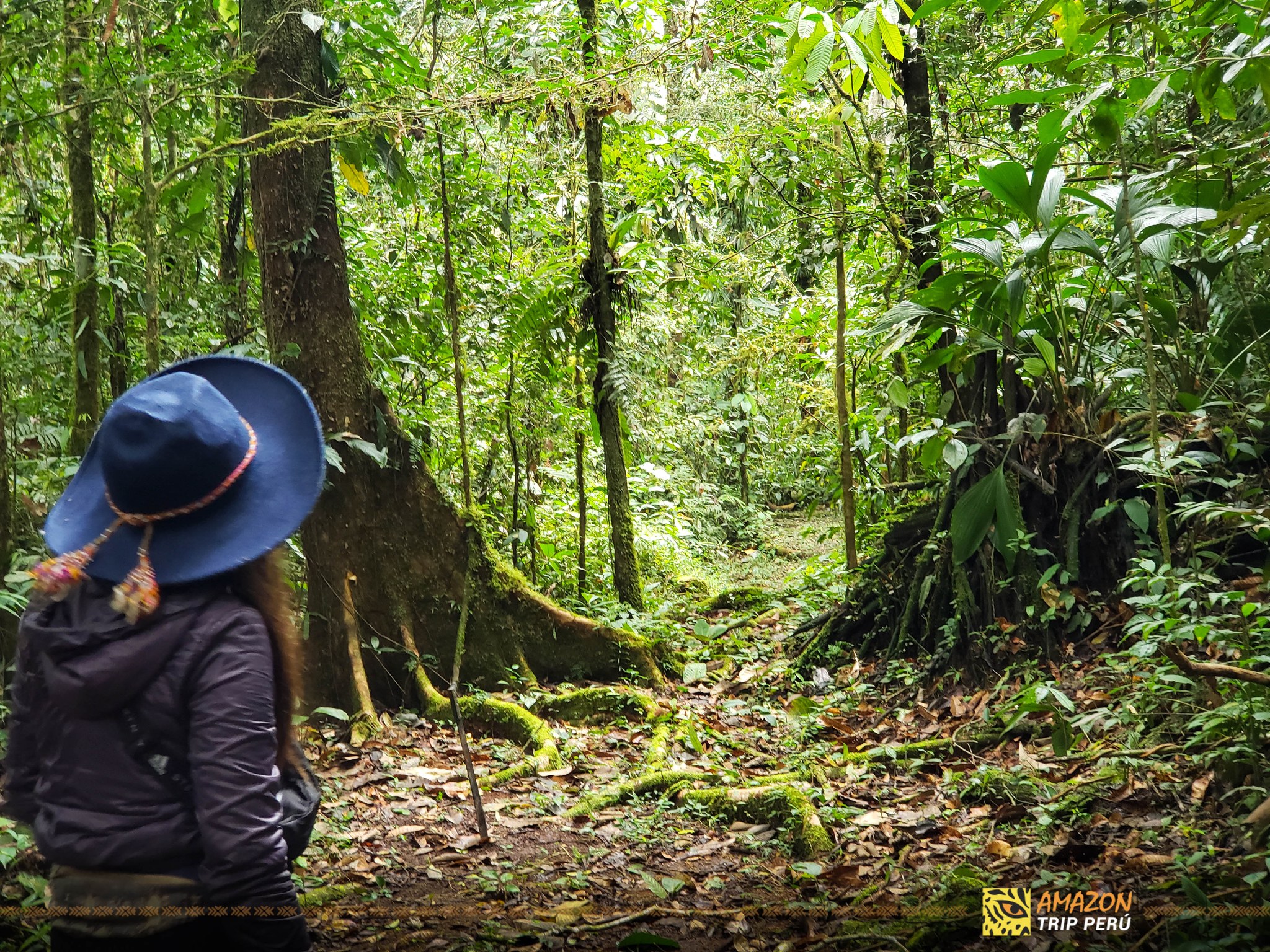 Amazon Trip Perù - manu national park tours | Cusco