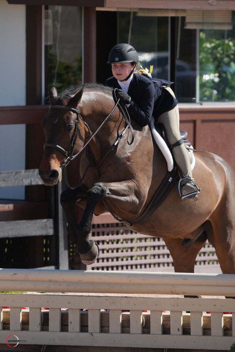 WEF 7 ️ 🔹Top Gun made his... - Treasure Coast Stables | Facebook