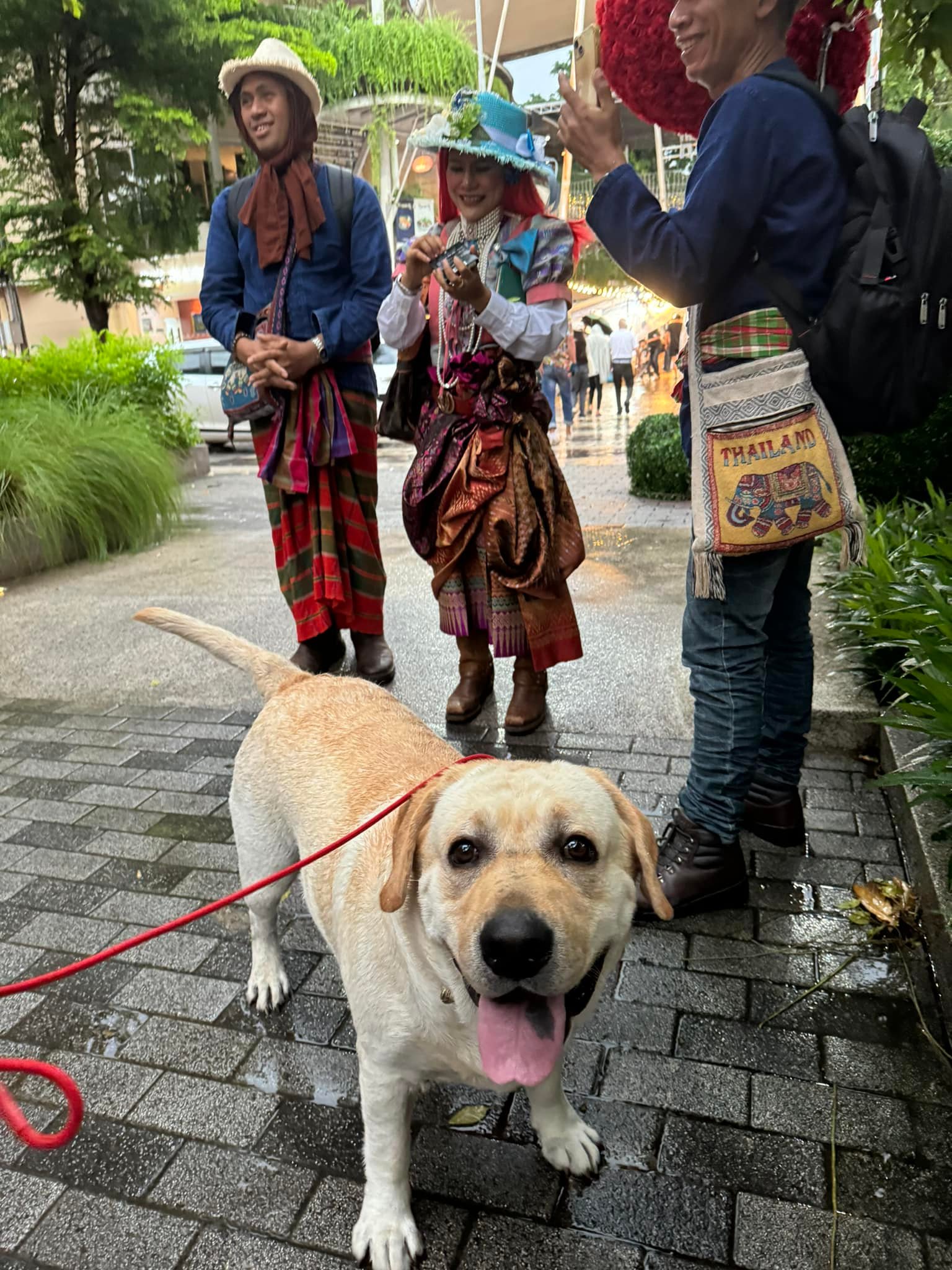แล้วทุกอย่างจะดีเองนะแบม สาธุ 🤍😆... - Dobby Bambii labrador | Facebook