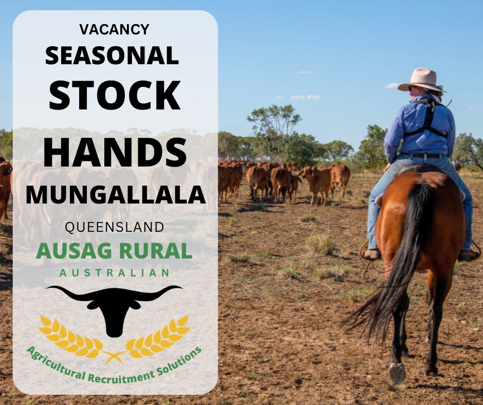 AUSAG RURAL - STATION HAND, BOWEN QLD If you’re chasing... | Facebook