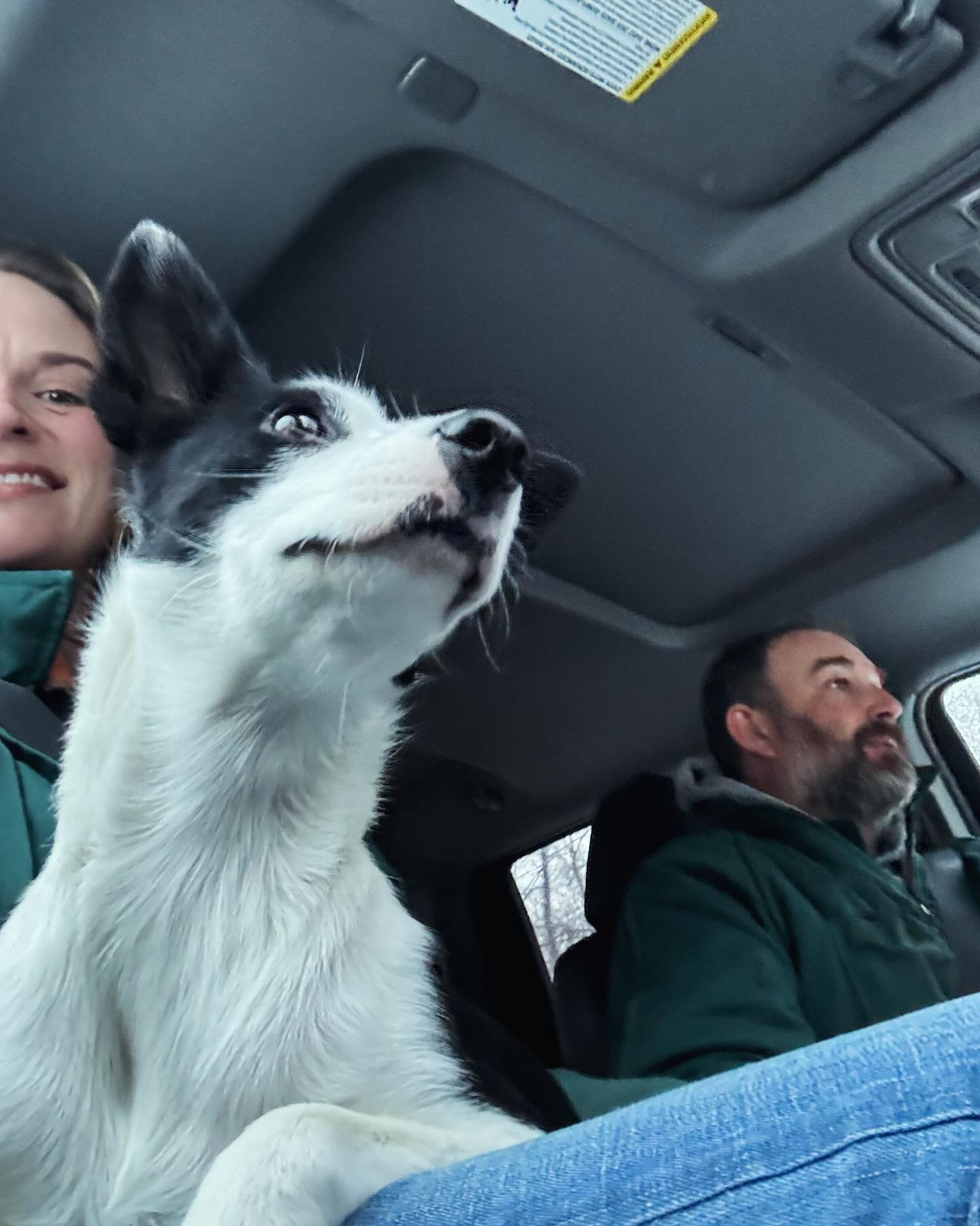 DocsBenandErin - Riding with the Rizz….. #farmdog...