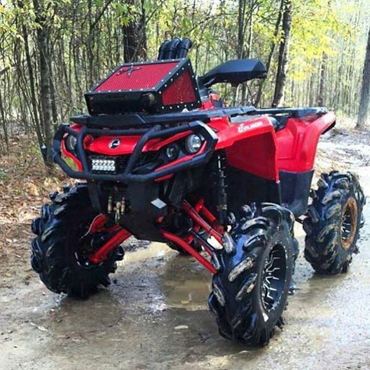 BAUSS Racing | Sarasota FL