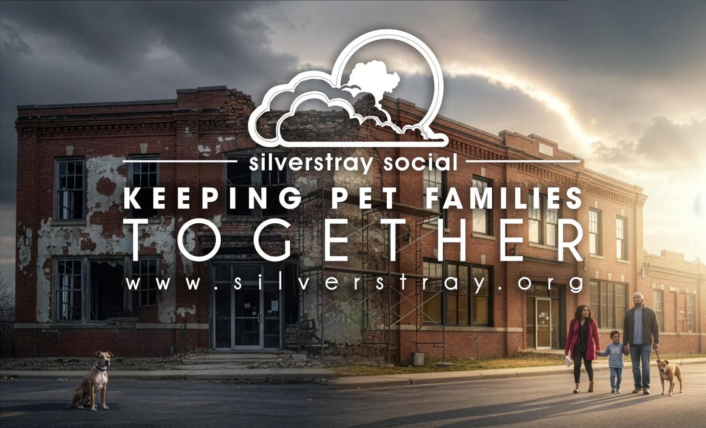 Silverstray - We are thrilled to announce, in 2026, Silverstray is ...